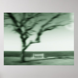 Póster sombras fijas