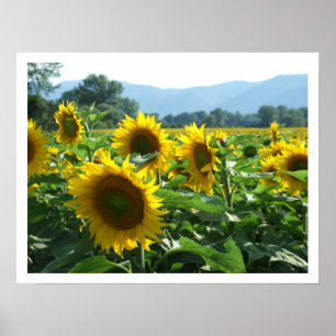 Póster Sombras y montañas