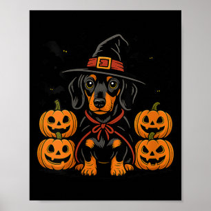 Póster Sombrero de bruja de calabaza para perra salchicha