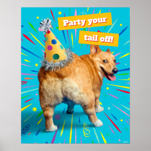Póster Sombrero de cumpleaños para trasero de Corgi