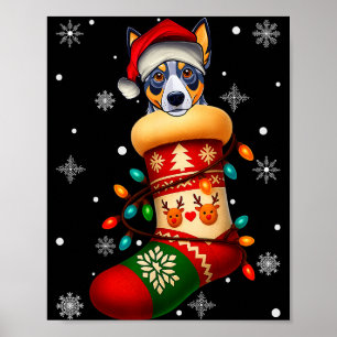 Póster Sombrero de Santa Blue Heeler perro en calcetines