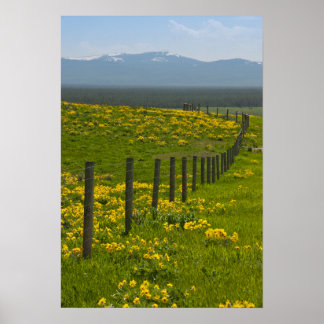 Póster Sombrillas y montañas amarillas