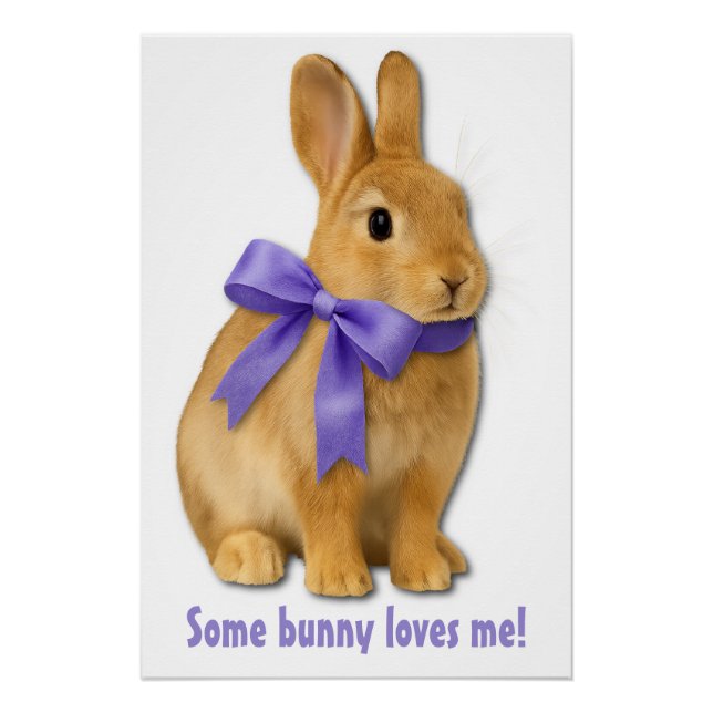 Póster Some bunny loves me! (Anverso)