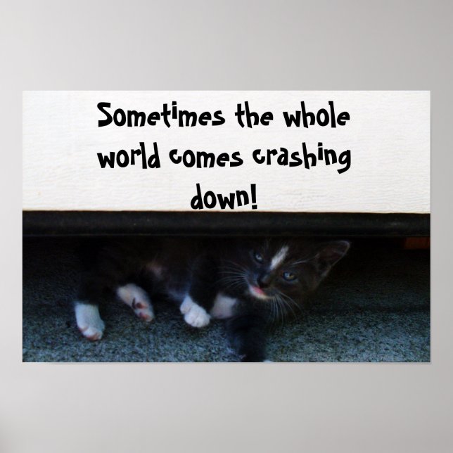 Póster SOMETIMES THE WORLD CRASHES ON YOU (Frente)
