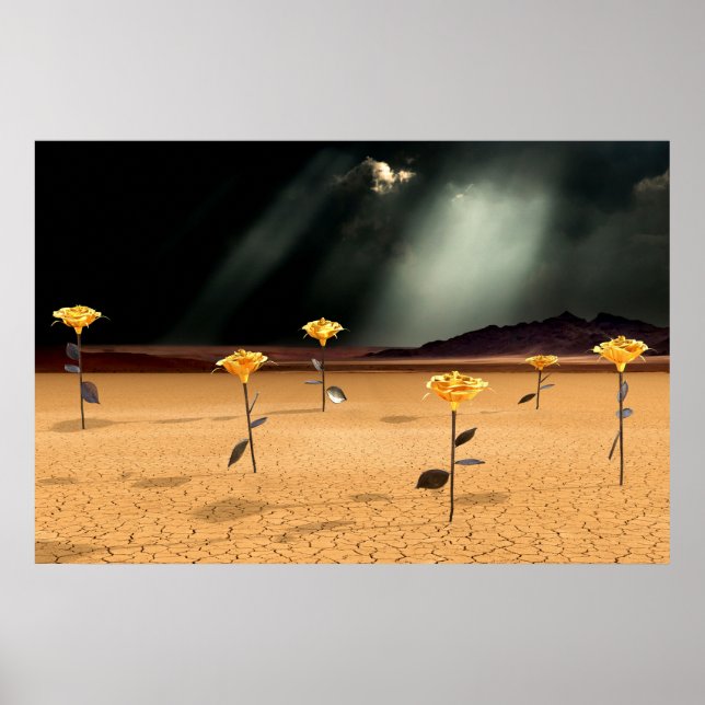 Póster Somewhere No. 3 (Frente)