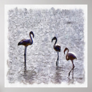 Póster Somos Las Tres Colores De Agua Flamingos