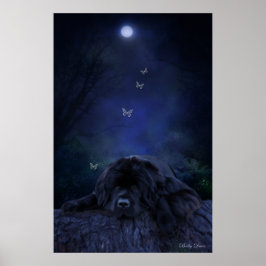 Póster Soñador del bosque