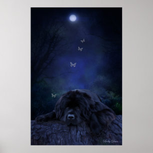 Póster Soñador del bosque