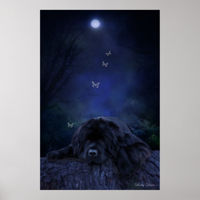 Póster Soñador del bosque (Frente)