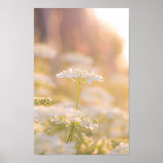 Póster Soñando con las Flores (Frente)