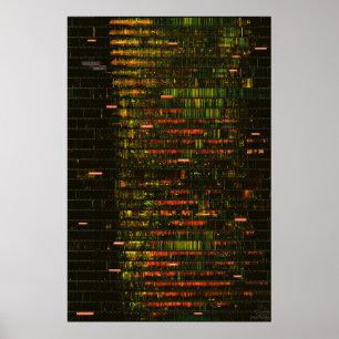 Póster Sonidos de Yellowstone en un mes