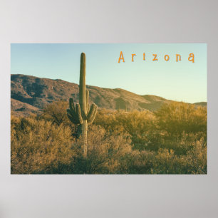 Póster Sonoran Desert Arizona