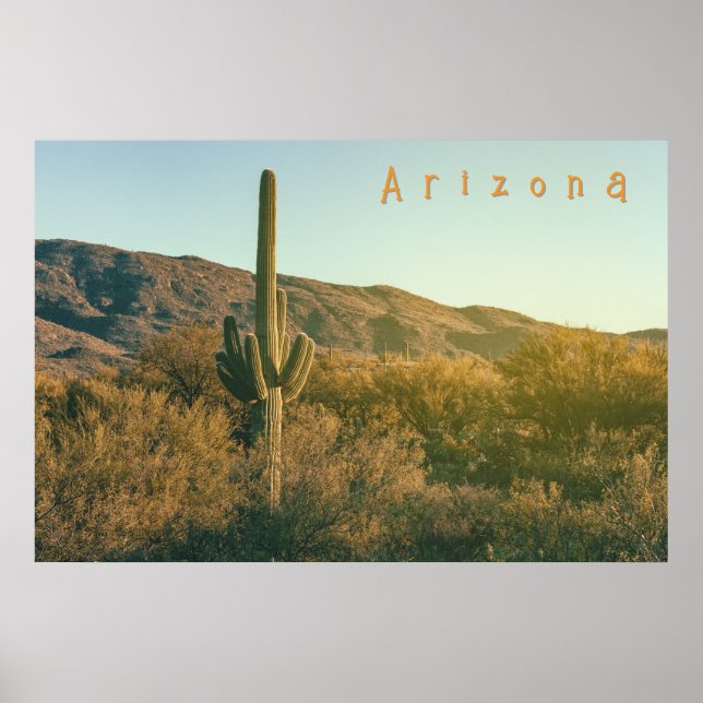 Póster Sonoran Desert Arizona (Frente)