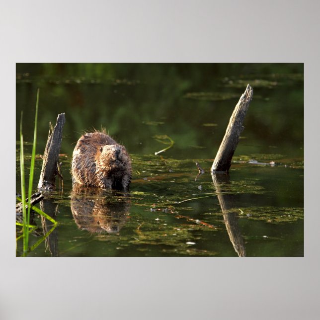 Póster Sonriente (Frente)