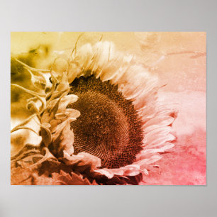 Póster Sonriente Girasol Negro Y Blanco Molesto