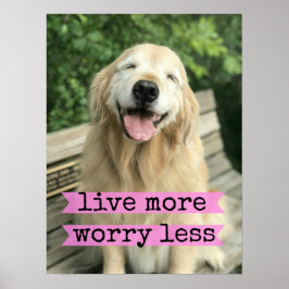 Póster Sonriente Perro Golden Retriever vive más preocupa