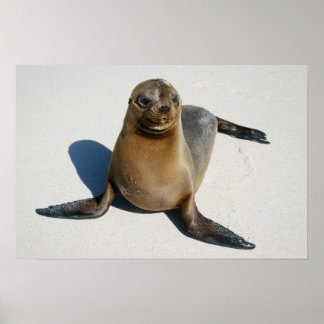 Póster Sonrisa