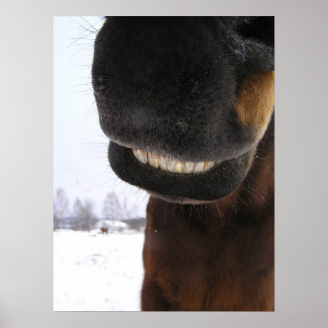 Póster Sonrisa (Frente)