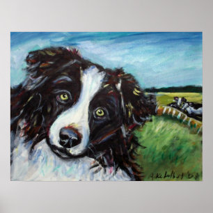 Póster Sonrisa del border collie