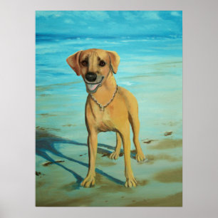 Póster Sonrisas Ridgeback "Tony"