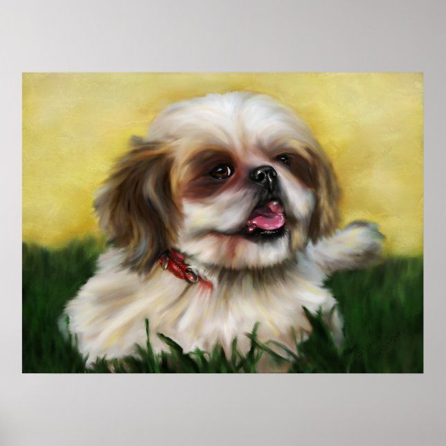 Póster Sophie Shih Tzu (Frente)