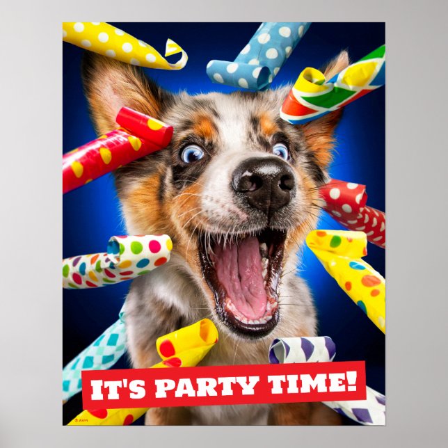 Póster Sopladores de fiesta de perro feliz (Frente)