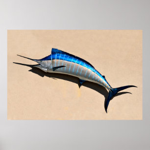 Póster Soporte de los pescados de la aguja azul