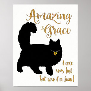 Póster Sorprendente gato rescatado por Grace