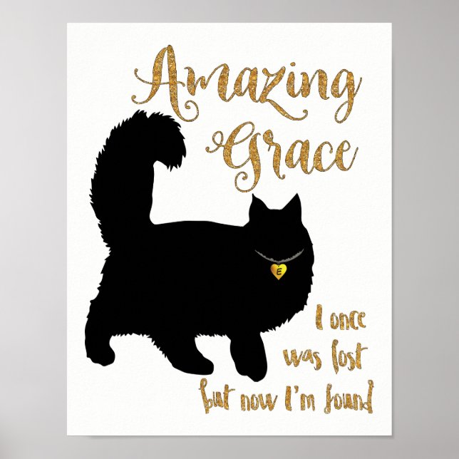 Póster Sorprendente gato rescatado por Grace (Frente)