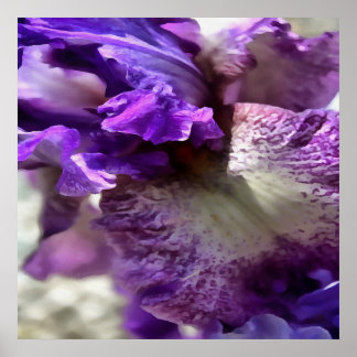 Póster Sorprendente resumen morado, violeta y mauve iris