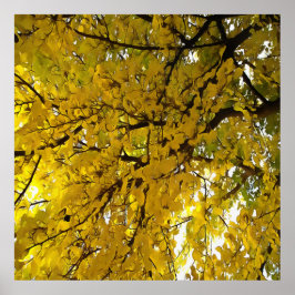 Póster Sorprendentes hojas de otoño vibraciones abstracta