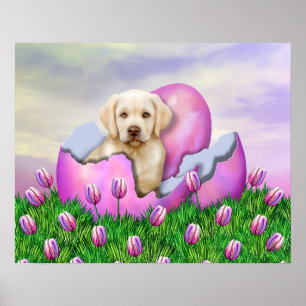 Póster Sorpresa amarilla de Labrador Pascua