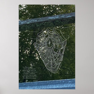 Póster Sorpresa de la mañana, una telaraña cubierta de ex