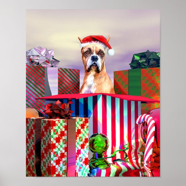 Póster Sorpresa de los Navidades de Boxer (Frente)