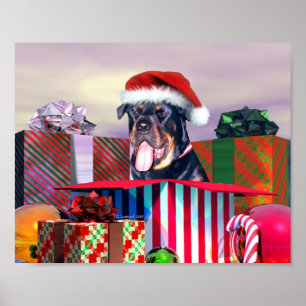 Póster Sorpresa de Navidad con Rottweiler