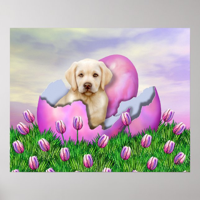 Póster Sorpresa de Pascua de Labrador Amarillo (Frente)