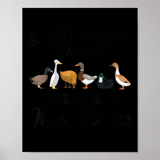 Póster Sorry I Can't Have To Take Care Of My Ducks Funny  (Frente)