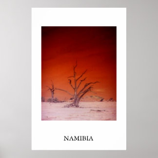 PÓSTER SOSSUSVLEI