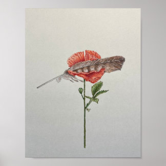 Póster Sosténme suavemente, amapola