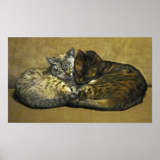 Póster Soul Mates (Frente)