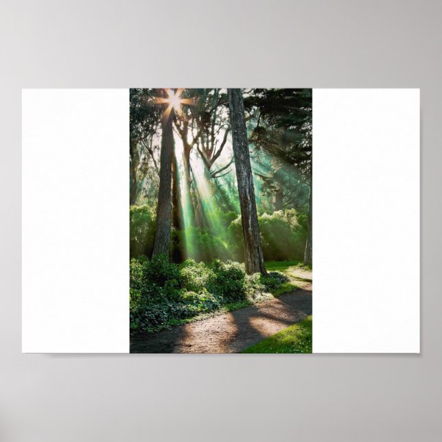 Póster Soul Shine (Frente)