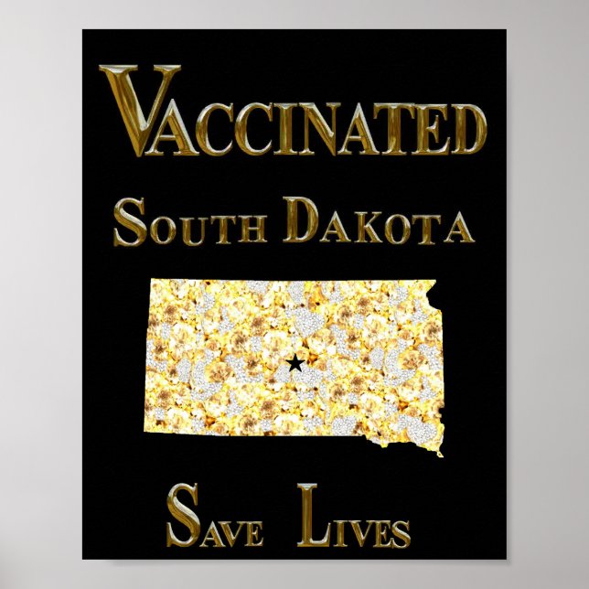 PÓSTER SOUTH DAKOTA (Frente)
