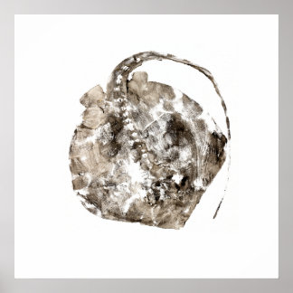 Póster Southern Stingray