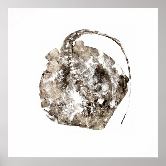 Póster Southern Stingray (Frente)