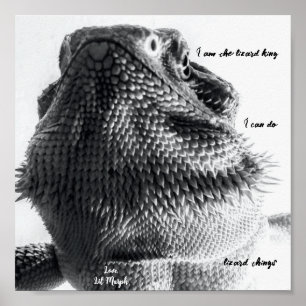 Póster "Soy el rey lagarto" Lizard blanco y negro