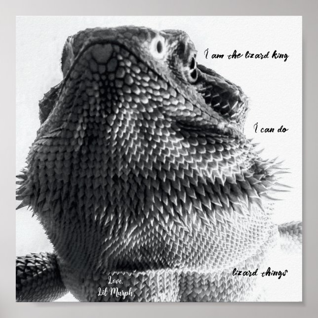 Póster "Soy el rey lagarto" Lizard blanco y negro (Frente)