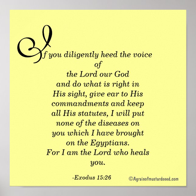 Póster Soy el Señor que te cura (Frente)