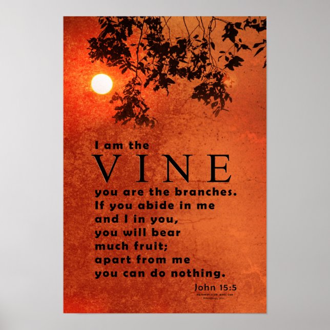 Póster Soy el VINE (John 15:5) (Frente)