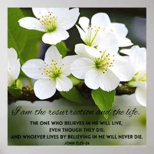 Póster Soy la resurrección La Biblia Motivacional Verse P