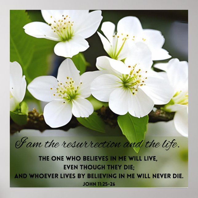 Póster Soy la resurrección La Biblia Motivacional Verse P (Frente)